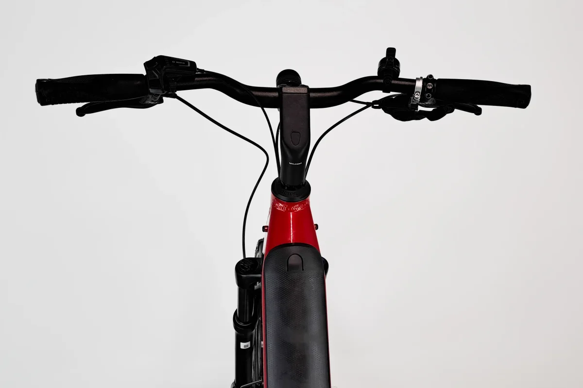 Riese & Müller Nevo Touring Rouge T.51 1828 2057 – Image 6